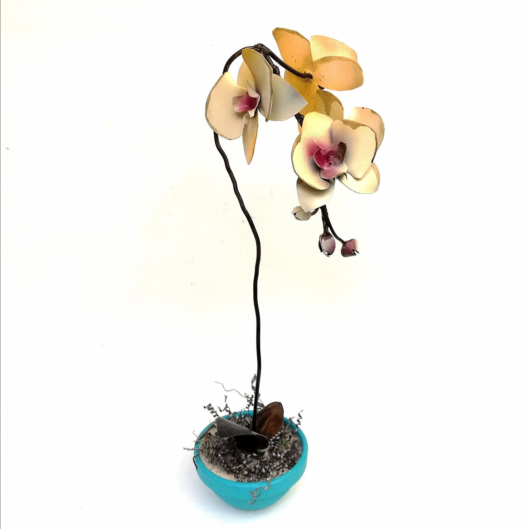 Orquídea Alta – 89TRAZOS