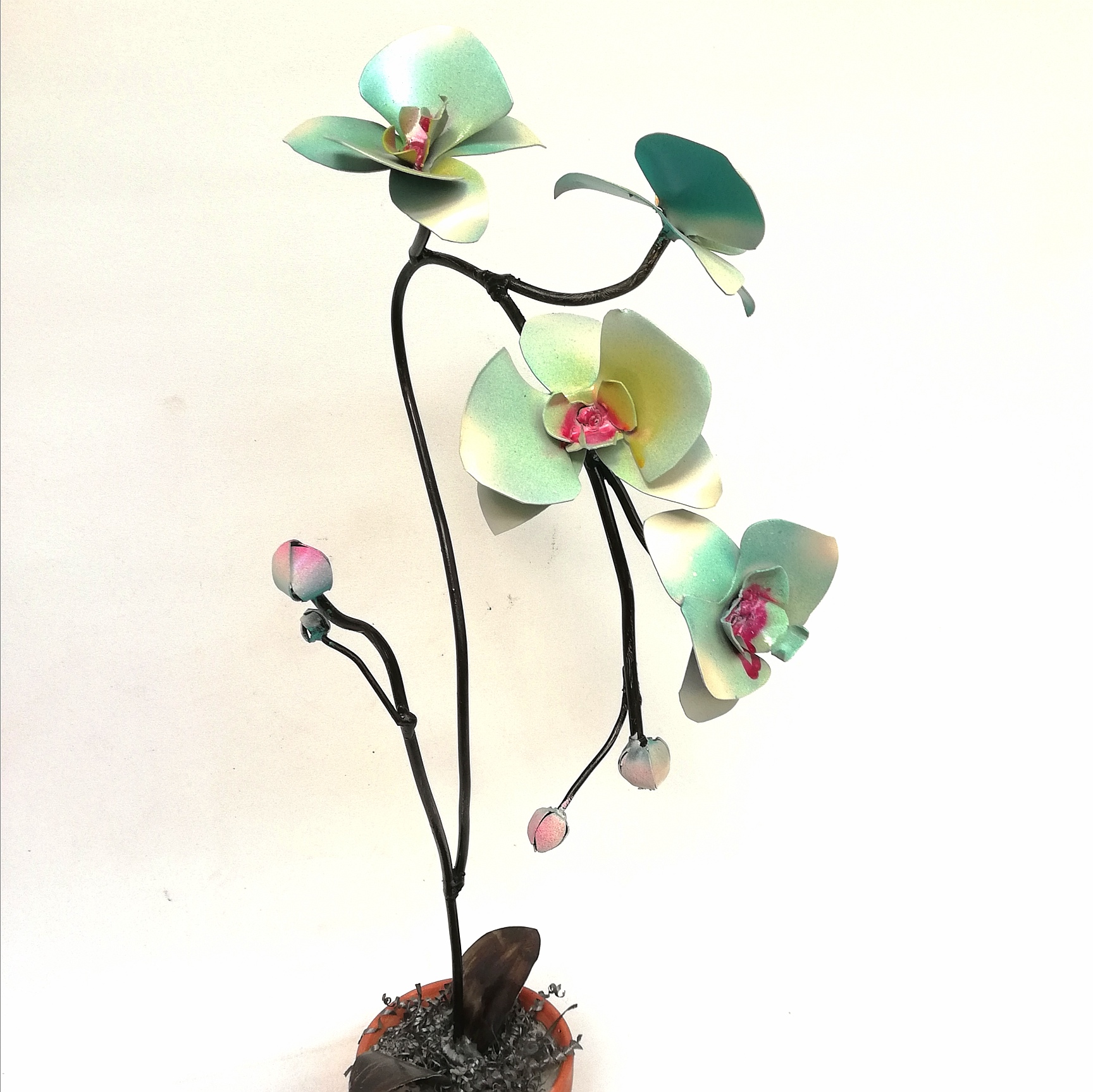 Orquídea Alta II – 89TRAZOS