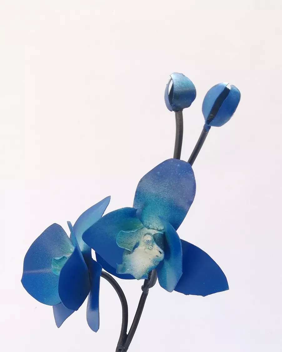 Orquídea Alta – 89TRAZOS