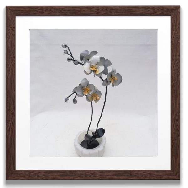 orquídea alta blanca
