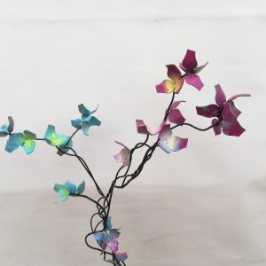 enredaderas