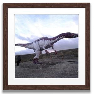 Dinosaurio Baryonyx (48)