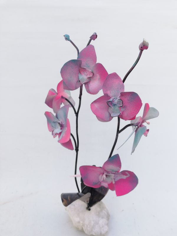 Orquídea Alabastro