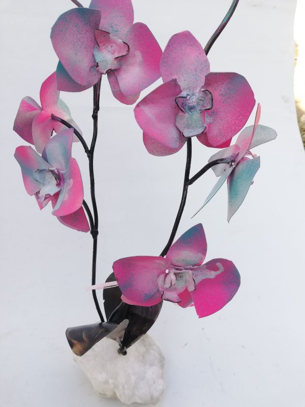 Orquídea Alabastro
