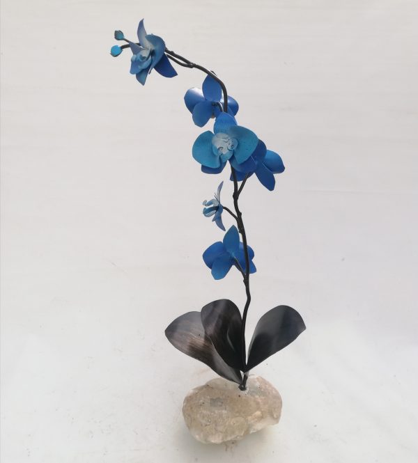 orquidea grande tonos azules