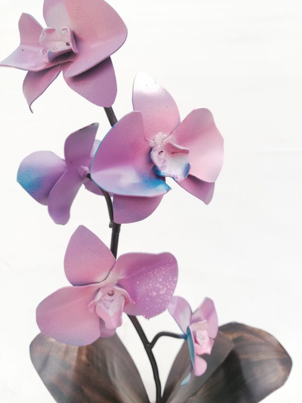 Orquídea mediana tonos rosas