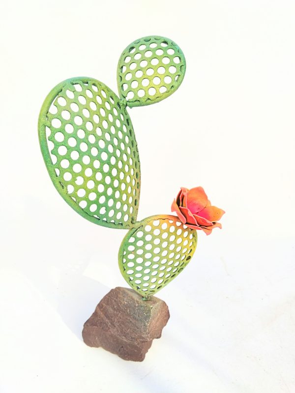 cactus raqueta decorativo