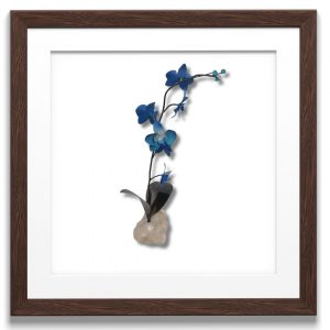 orquidea grande tonos azules