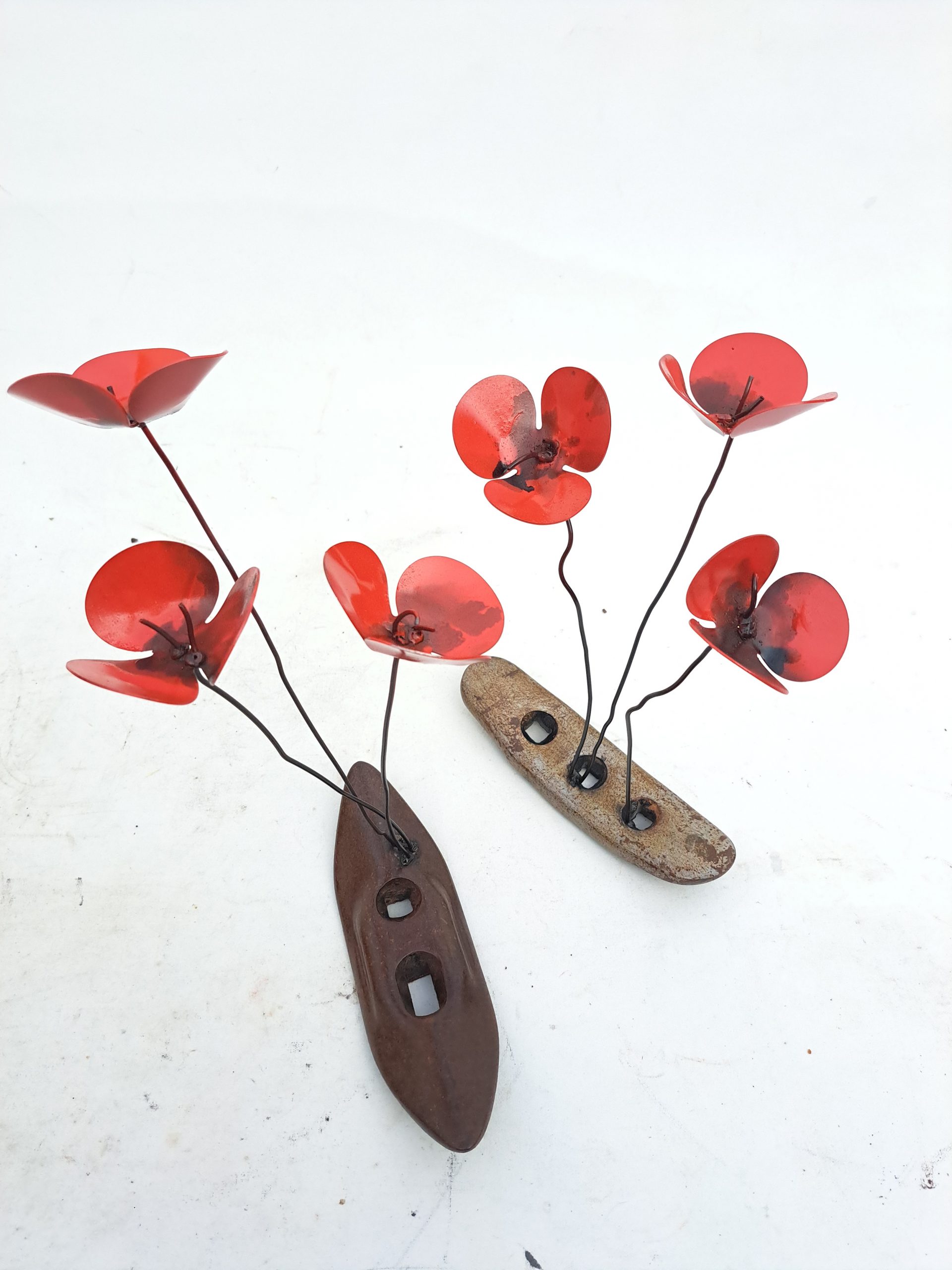 Amapolas Zueca - Imagen 2